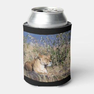 Lioness resting can cooler