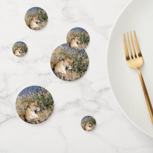 Lioness resting confetti (Group)