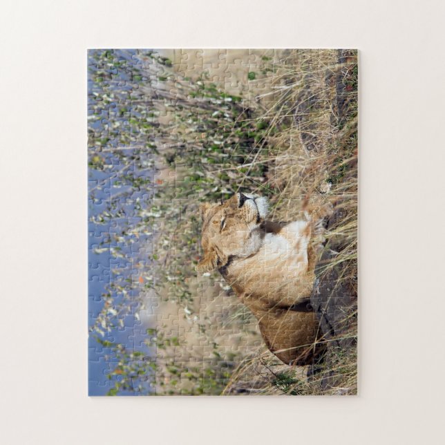 Lioness resting jigsaw puzzle (Vertical)