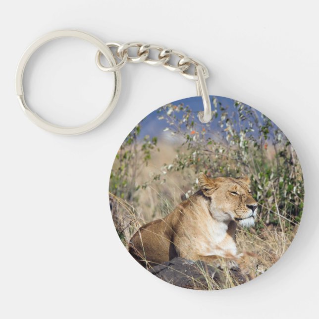 Lioness resting key ring (Front)