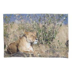 Lioness resting pillowcase