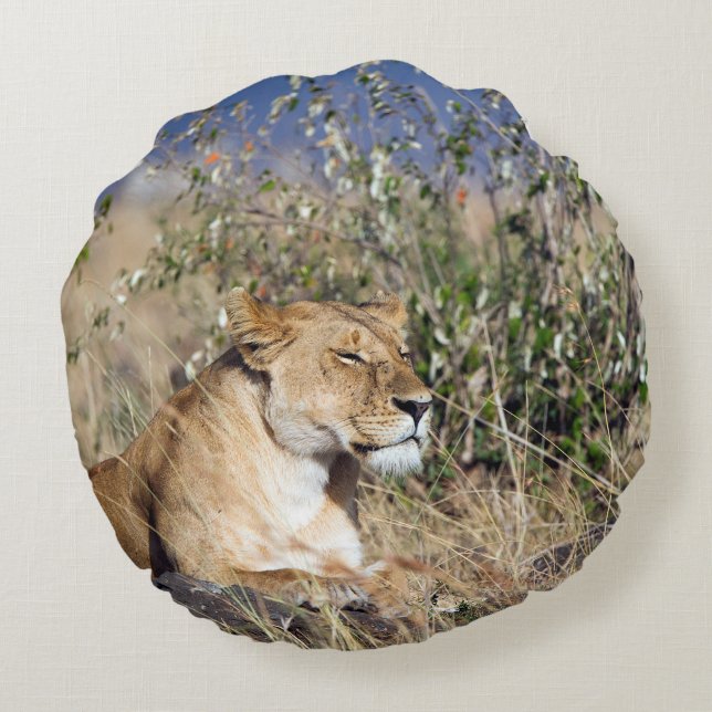 Lioness resting round cushion (Back)