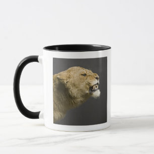 Lioness roaring 2 mug
