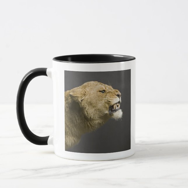 Lioness roaring 2 mug (Left)
