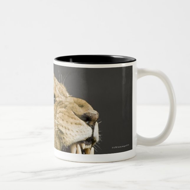 Lioness roaring 2 Two-Tone coffee mug (Right)