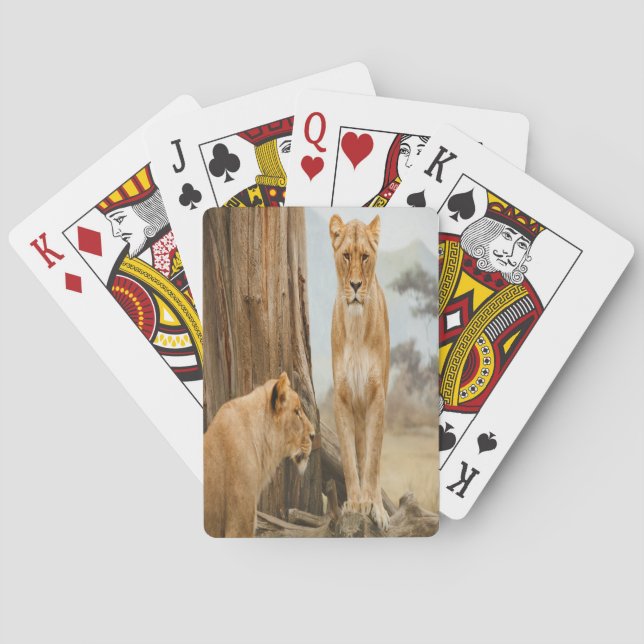 Lioness Rules Playing Cards (Back)