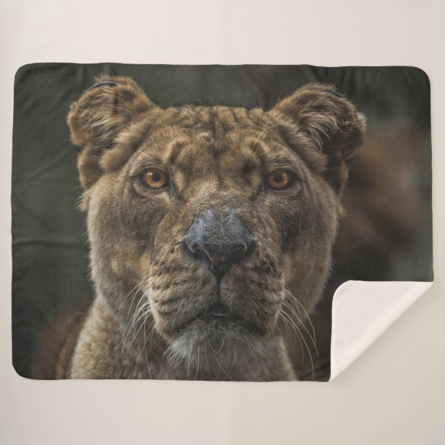 LIONESS SHERPA BLANKET (Front (Horizontal))