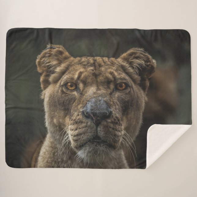 LIONESS SHERPA BLANKET (Front (Horizontal))