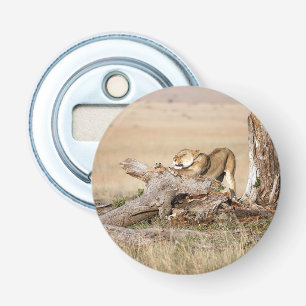 Lioness stretching bottle opener
