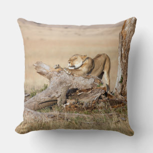 Lioness stretching cushion