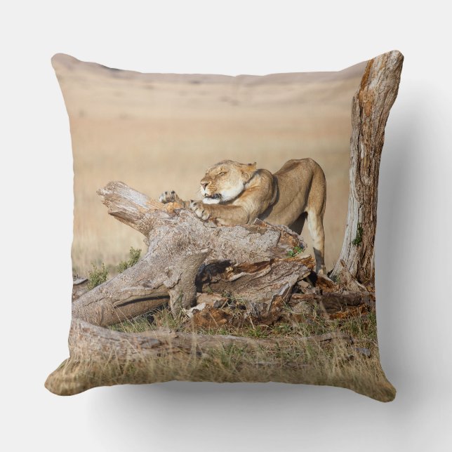 Lioness stretching cushion (Front)