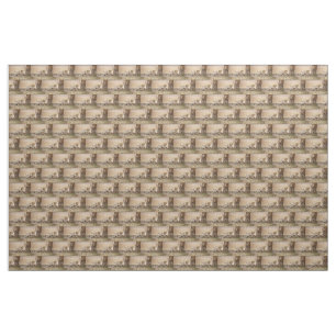 Lioness stretching fabric