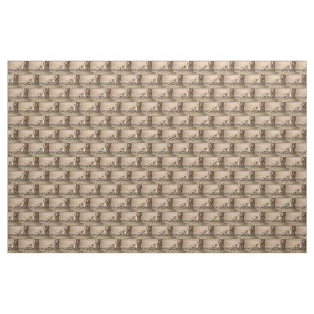 Lioness stretching fabric (Yard)
