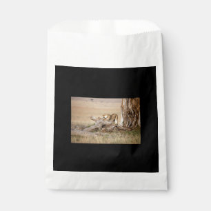 Lioness stretching favour bag