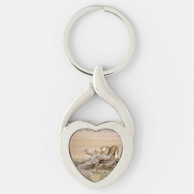 Lioness stretching key ring (Front)