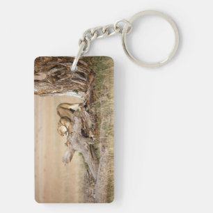 Lioness stretching key ring