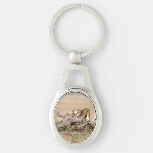 Lioness stretching key ring
