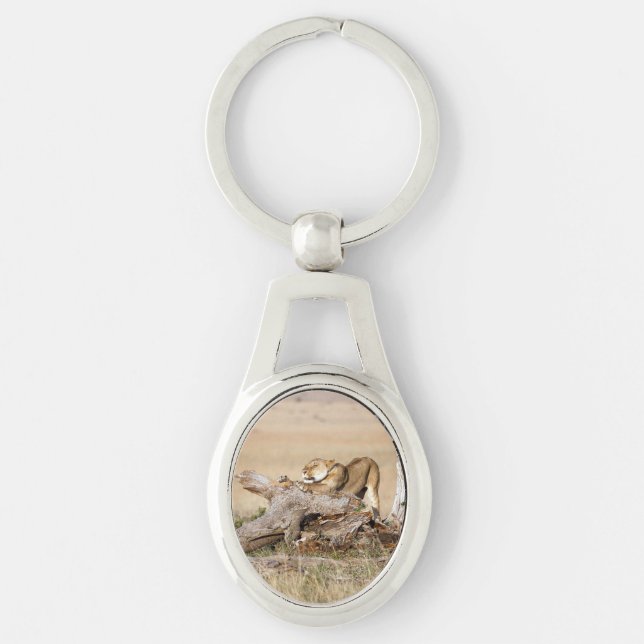 Lioness stretching key ring (Front)