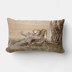 Lioness stretching lumbar cushion