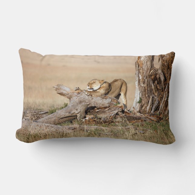 Lioness stretching lumbar cushion (Front)