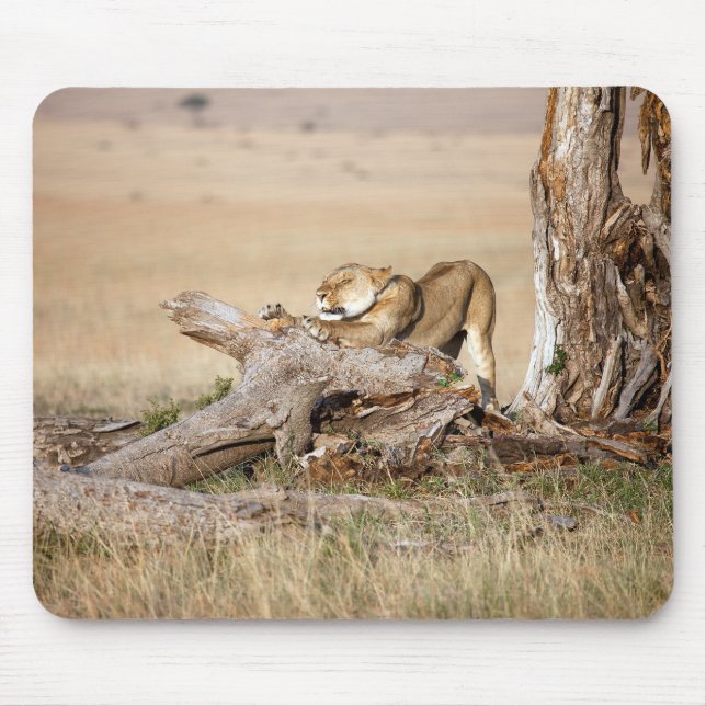 Lioness stretching mouse pad (Front)