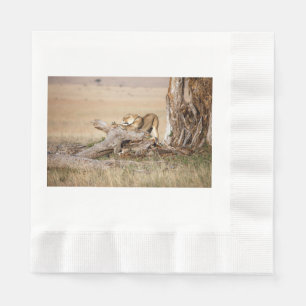 Lioness stretching napkin