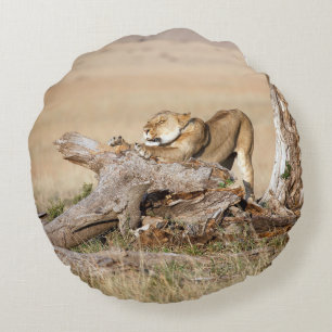 Lioness stretching round cushion