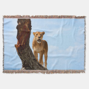 Lioness Throw Blanket