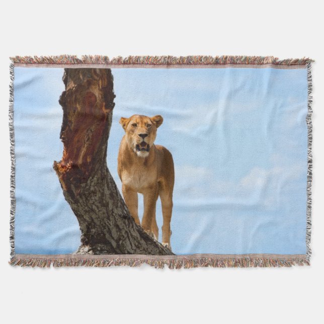 Lioness Throw Blanket (Front)