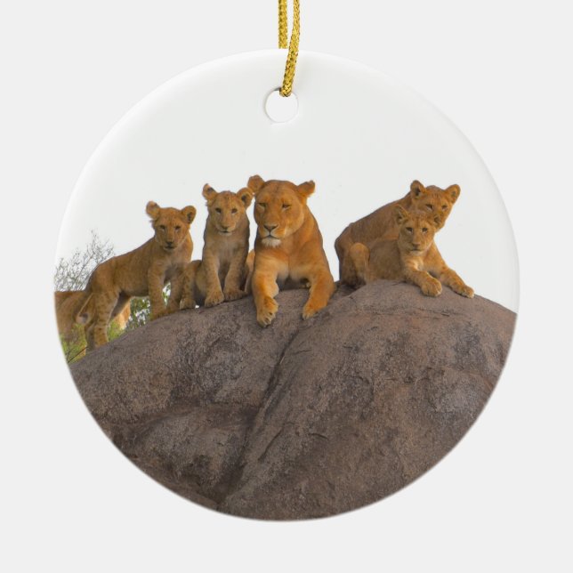 Lioness With Cubs, The Serengeti. Ceramic Ornament (Front)