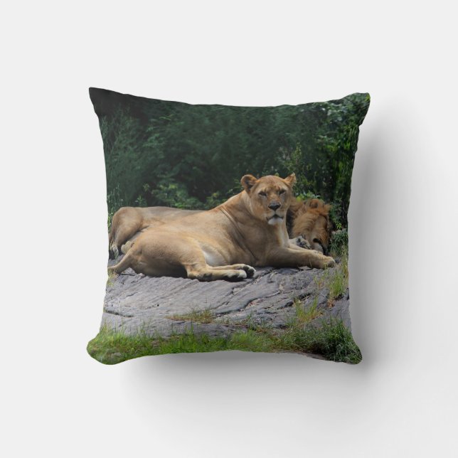 Lioness with Sleeping Lion Photo Cushion (Front)