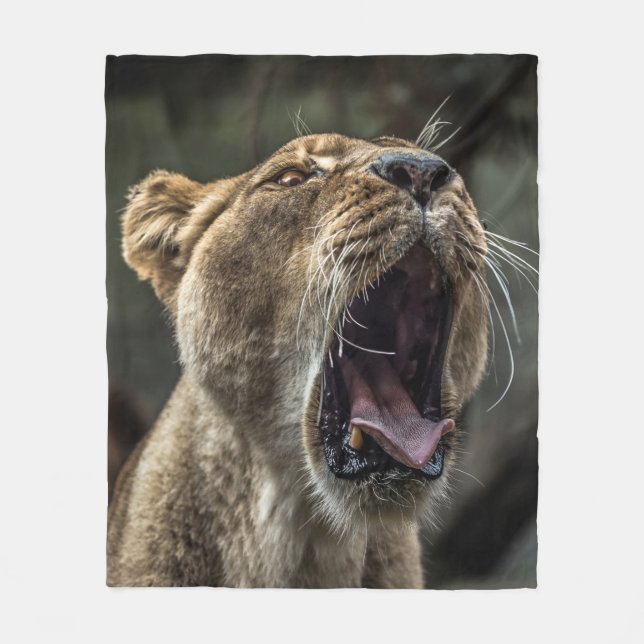 LIONESS YAWNING FLEECE BLANKET (Front)