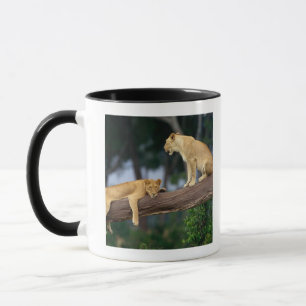 Lionesses in a tree mug