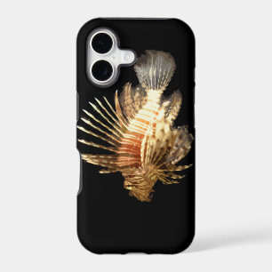 Lionfish against a Dark Background