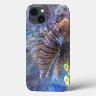 Lionfish iPhone 13 Case