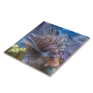 Lionfish Ceramic Tile