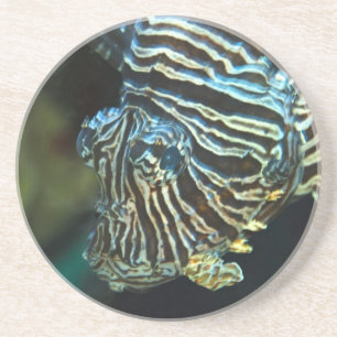 Lionfish Coaster