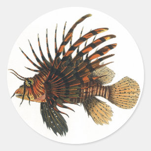 Lionfish Fish, Vintage Marine Ocean Life Animal Classic Round Sticker