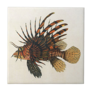 Lionfish Fish, Vintage Marine Ocean Life Animal Tile