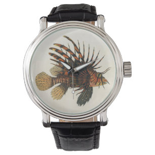 Lionfish Fish, Vintage Marine Ocean Life Animal Watch