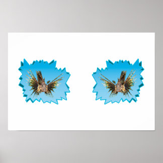 Lionfish on Iceblue * Starburst Cut Out | Poster