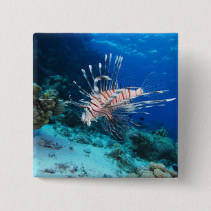 Lionfish or Pterois Miles, Ocean Reef Fish 15 Cm Square Badge