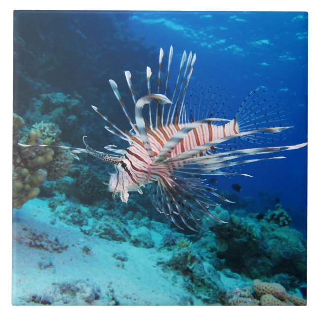 Lionfish or Pterois Miles, Ocean Reef Fish Ceramic Tile (Front)