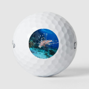 Lionfish or Pterois Miles, Ocean Reef Fish Golf Balls
