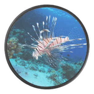 Lionfish or Pterois Miles, Ocean Reef Fish Hockey Puck