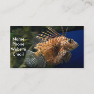 Lionfish Profile Card