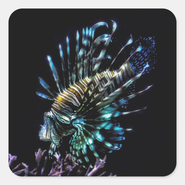 Lionfish swims square sticker (Front)