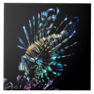 lionfish swims trinket tray ceramic tile