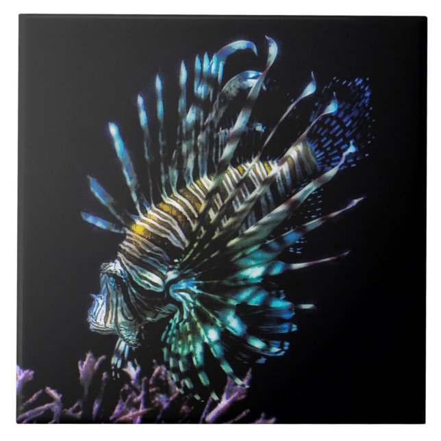 lionfish swims trinket tray ceramic tile (Front)