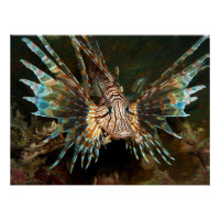 Lionfish up close! Very close and intense photo |